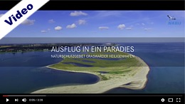 Video Ferienwohnungen Ferienhäuser Heiligenhafen Ostsee Urlaub